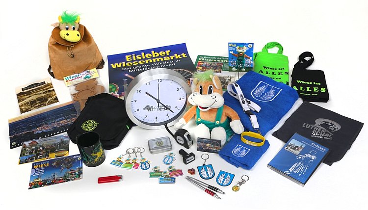 Foto_Souvenirs_Wiese_Netz
